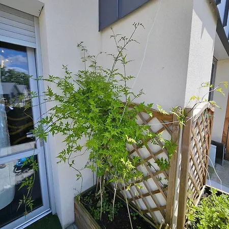 Cozy Family * Angers