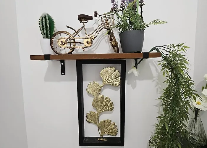 Cozy Family アンジェ