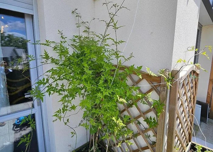 Cozy Family * Angers