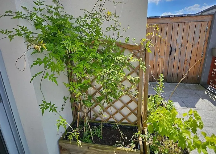 Apartament Cozy Family Angers